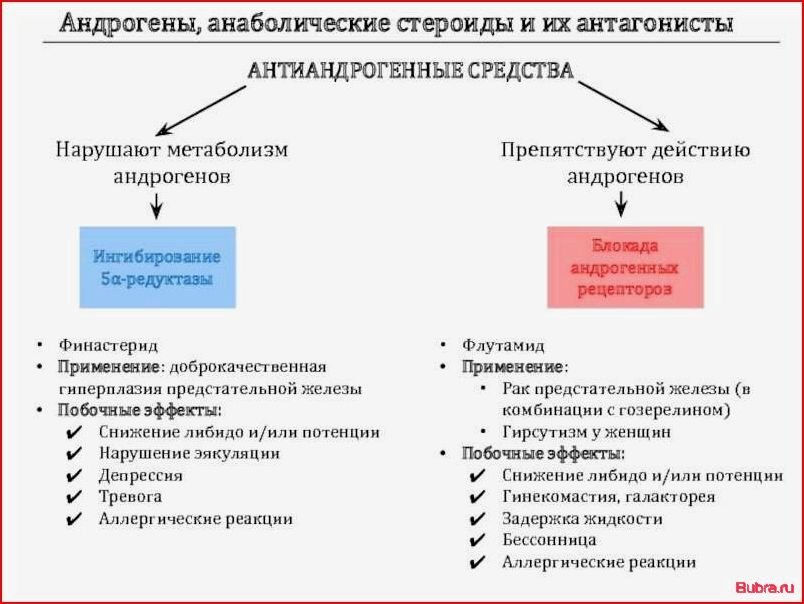 Анаболические стероиды: классификация, воздействие на организм и побочные эффекты