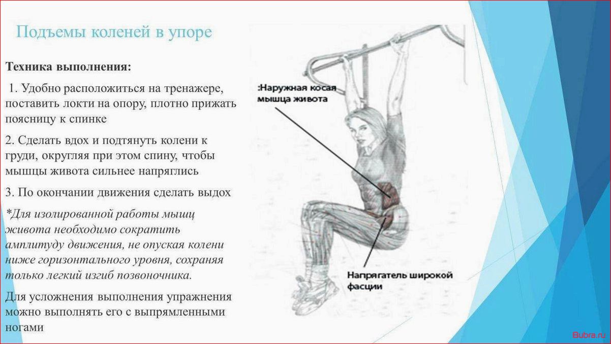 Подъем коленей в упоре — эффективное для прокачки мышц живота и ног