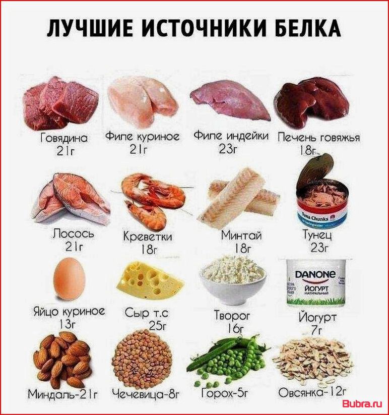 В каких продуктах содержится белок: полный список и рекомендации к потреблению