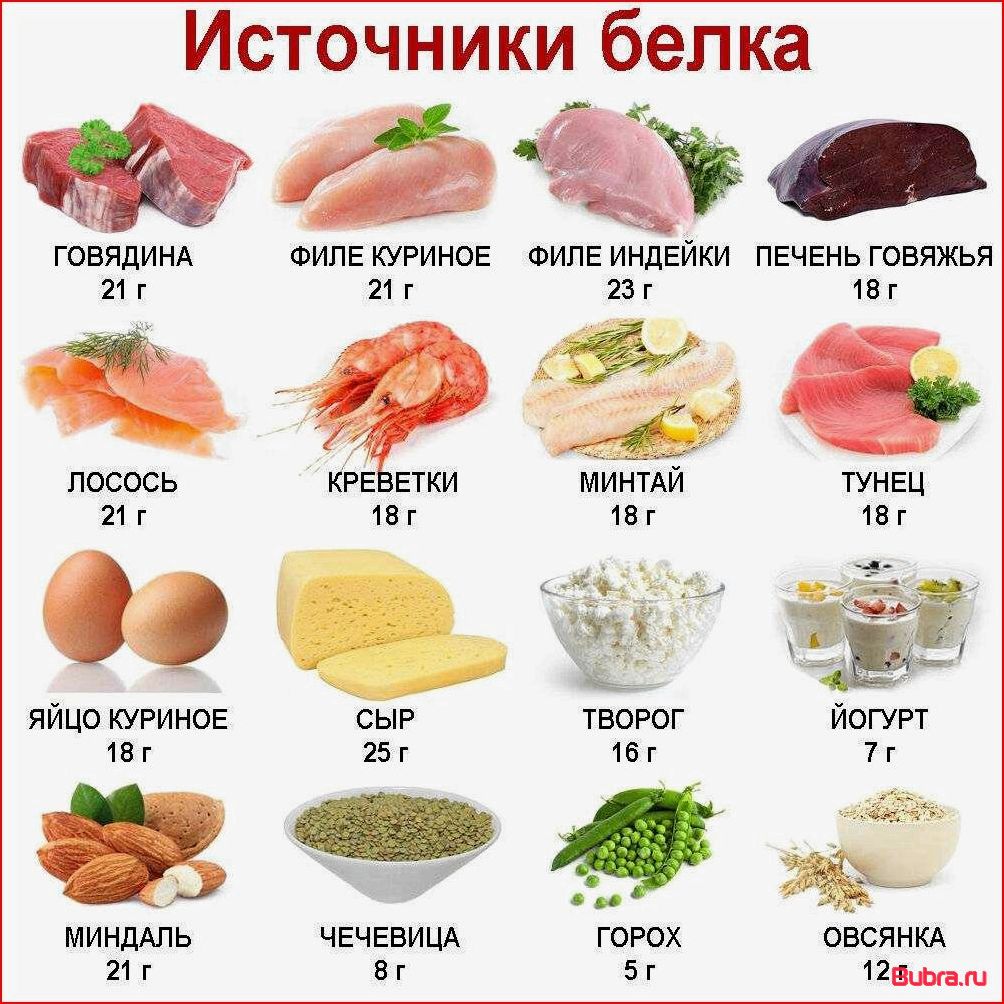 В каких продуктах содержится белок: полный список и рекомендации к потреблению