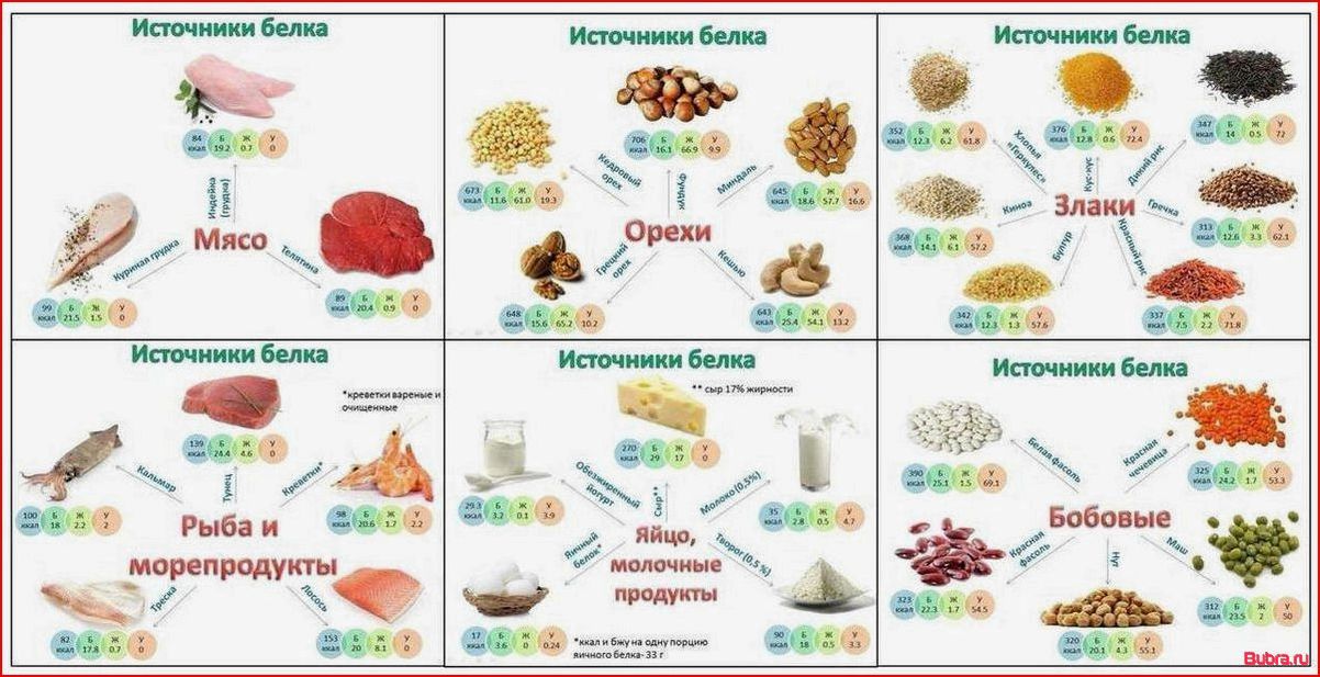 В каких продуктах содержится белок: полный список и рекомендации к потреблению