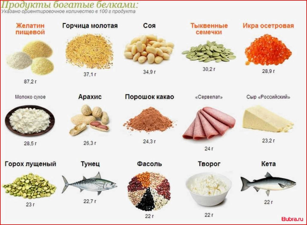 В каких продуктах содержится белок: полный список и рекомендации к потреблению