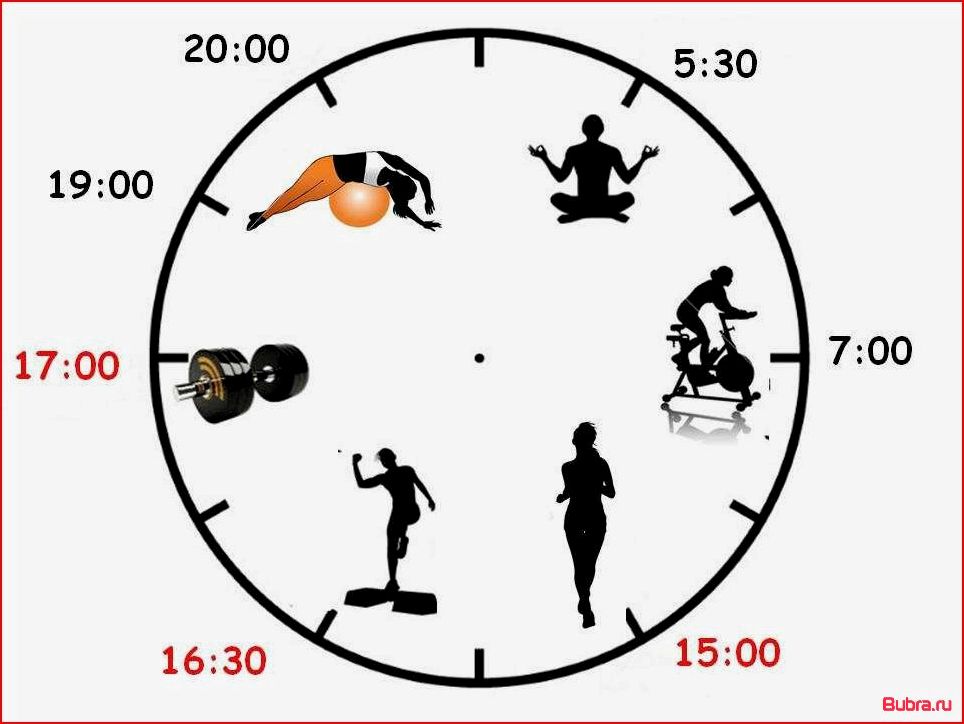 В какое время лучше заниматься спортом: плюсы и минусы тренировок в разное время суток