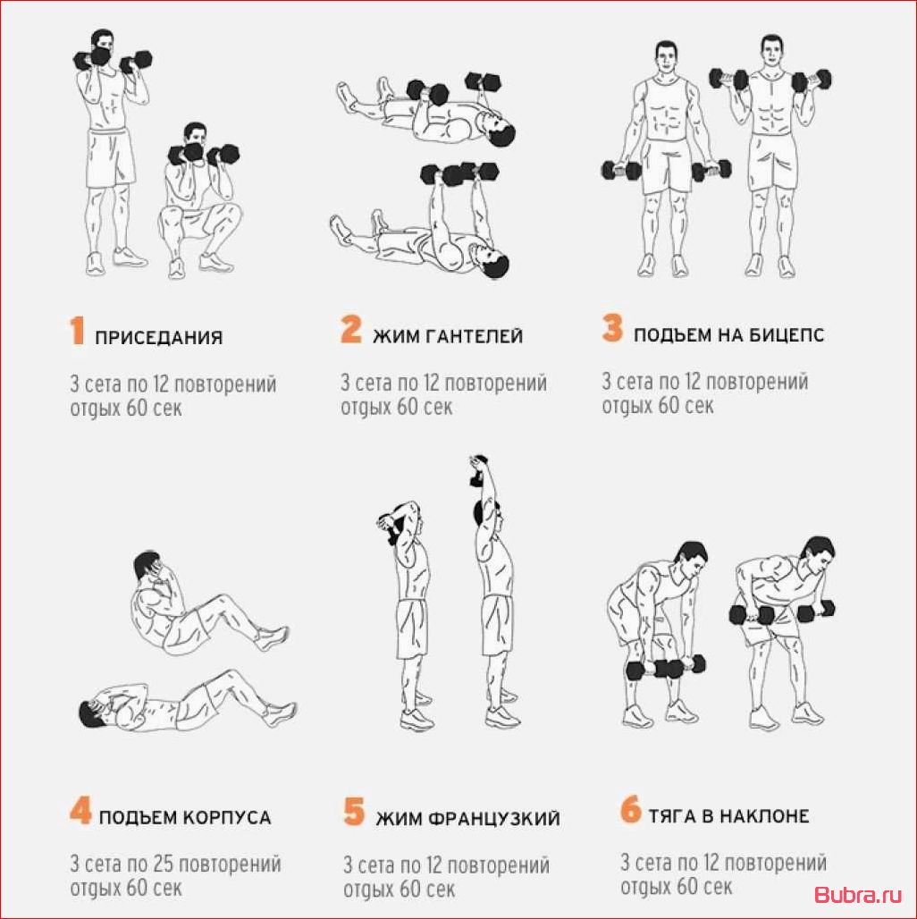 Программа тренировок в домашних условиях: эффективные упражнения для поддержания физической формы