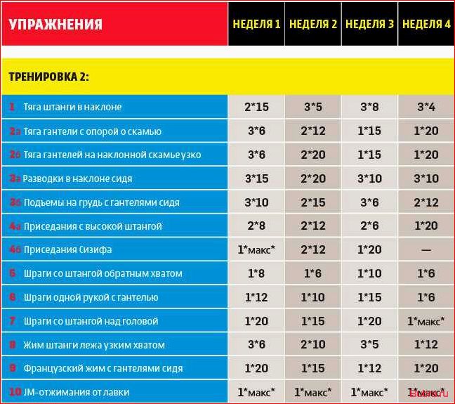 Программа тренировок для набора массы в домашних условиях