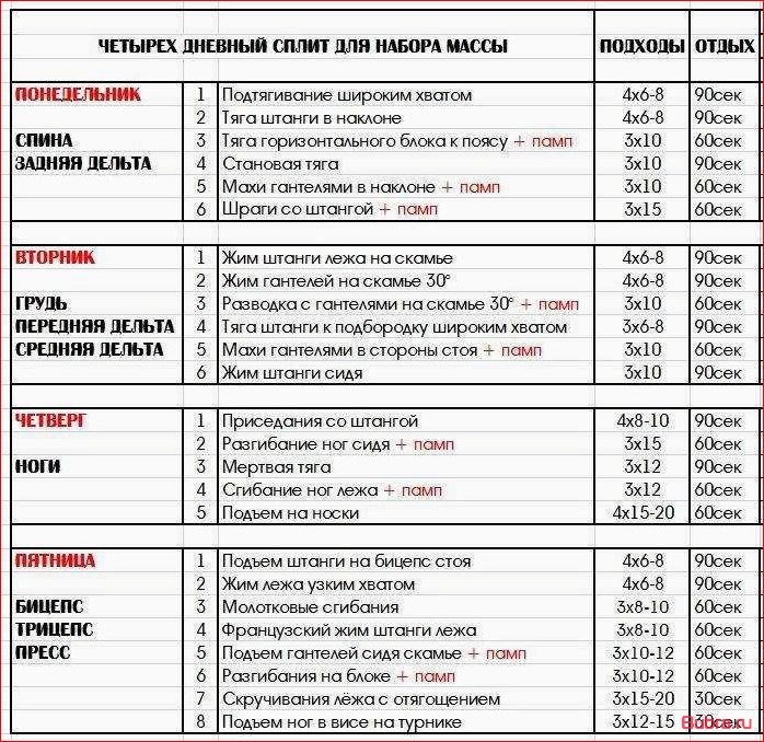 Программа тренировок для набора массы в домашних условиях