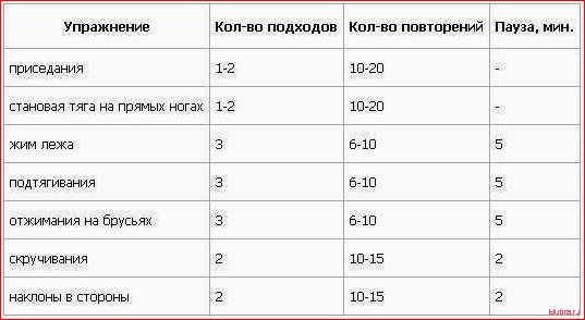 Программа тренировок для набора массы в домашних условиях