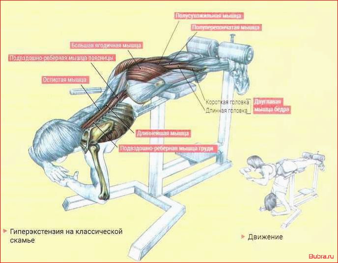 Гиперэкстензия на горизонтальной скамье