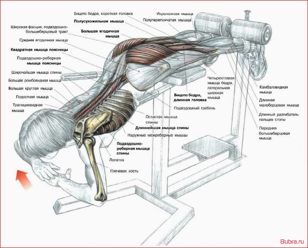 Гиперэкстензия на горизонтальной скамье