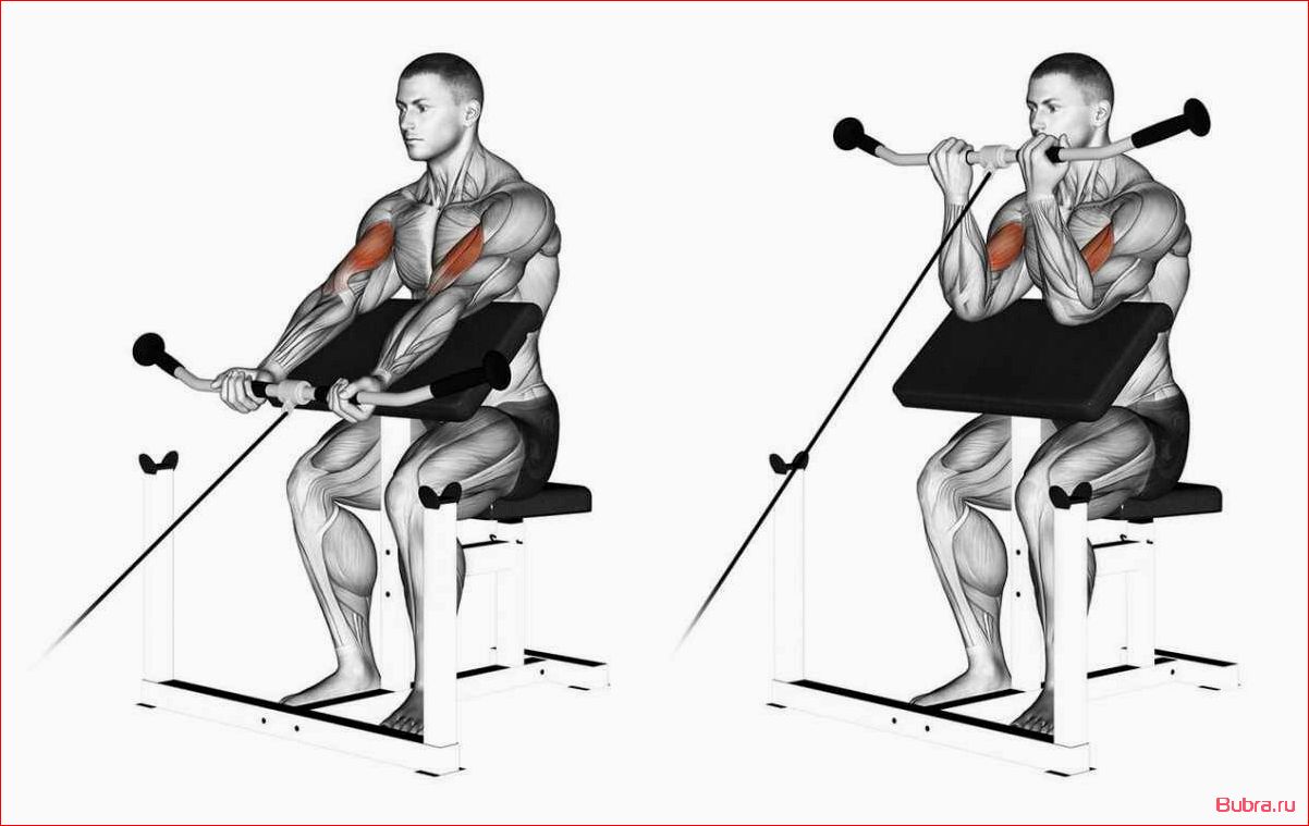 Подъем на бицепс одной рукой в нижнем блоке