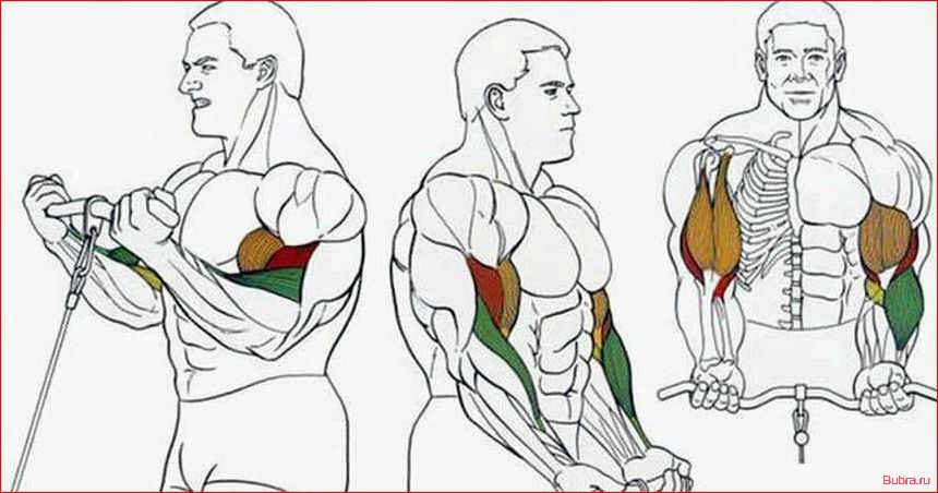 Подъем на бицепс одной рукой в нижнем блоке