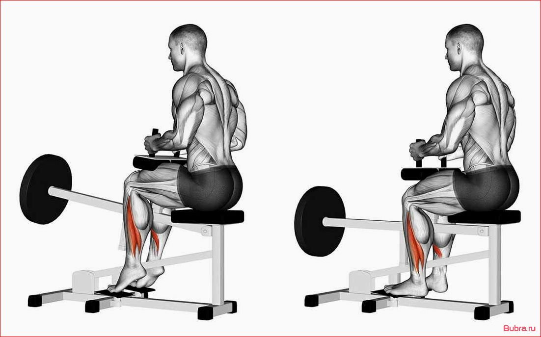 Подъем на носки в тренажере Смита