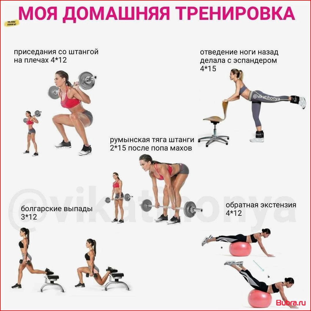 План тренировки плеч для женщин: эффективные упражнения и оптимальный режим нагрузки