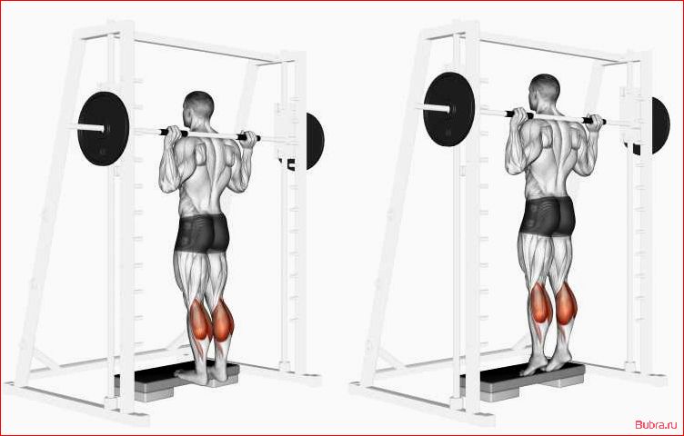 Обратный подъем носков в тренажере Смитта