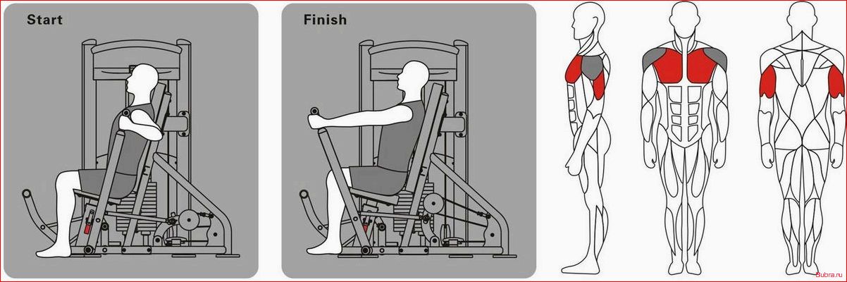 Жим сидя в блочном тренажере