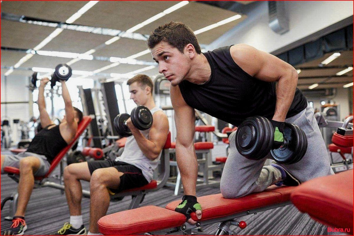 Как растут мышцы: главные условия для прогресса в тренажерном зале