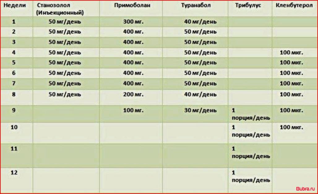 Курс стероидов для новичка: основные аспекты, которые необходимо знать