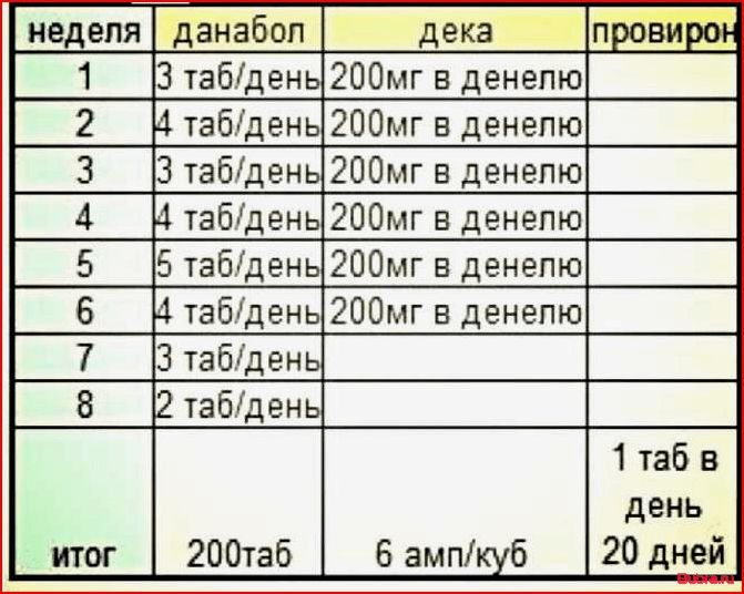 Курс стероидов для новичка: основные аспекты, которые необходимо знать