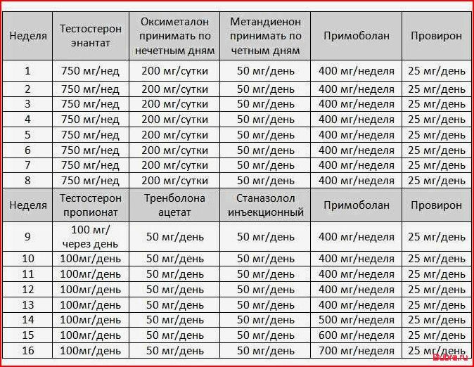 Курс стероидов для новичка: основные аспекты, которые необходимо знать