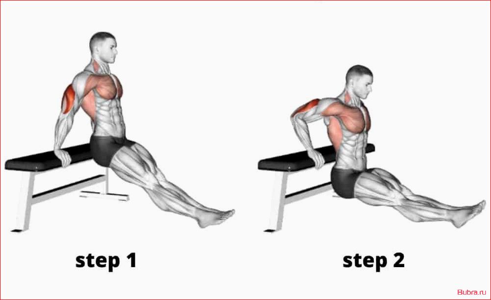 Отжимания от скамьи: техника выполнения, польза и вариации