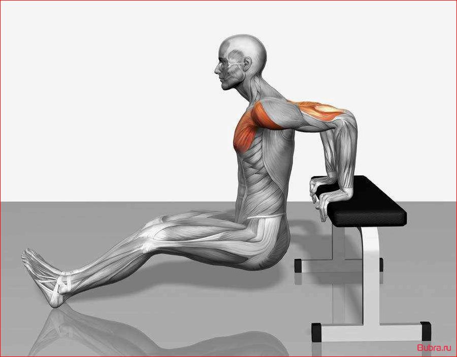 Отжимания от скамьи: техника выполнения, польза и вариации