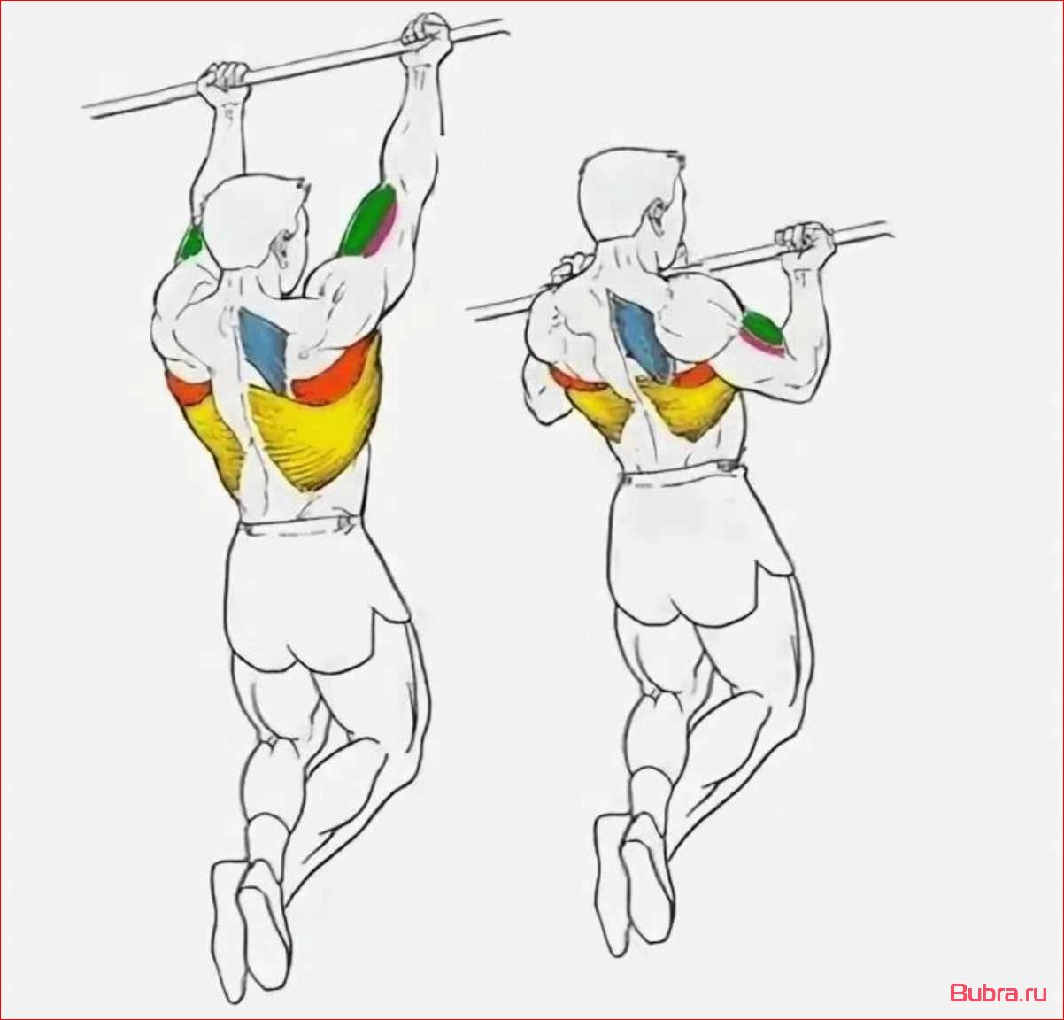 Подтягивания обратным хватом: техника и преимущества