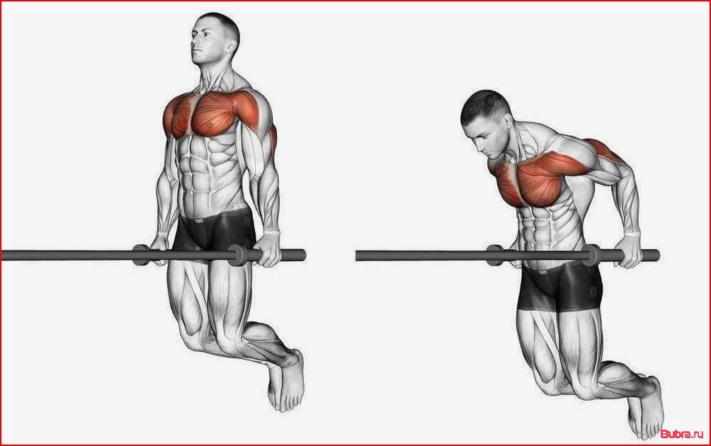 Как правильно отжиматься на брусьях: техника выполнения для разных целей