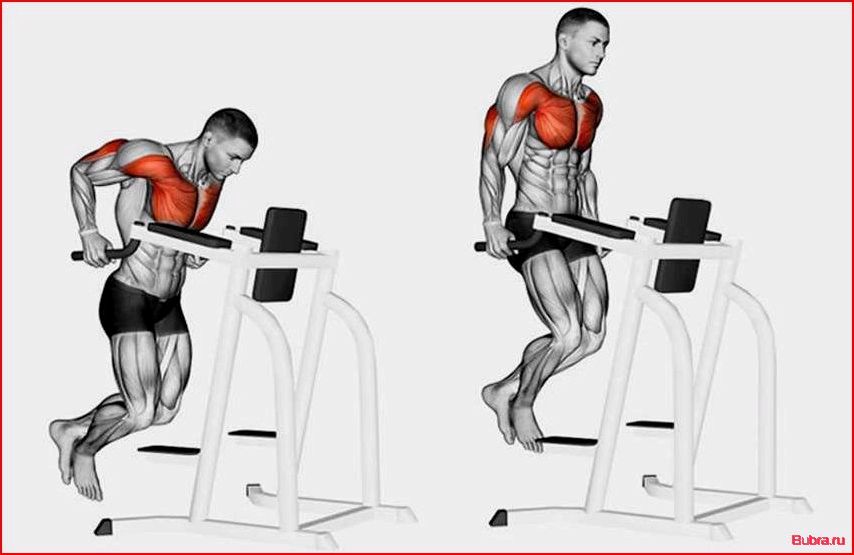 Как правильно отжиматься на брусьях: техника выполнения для разных целей