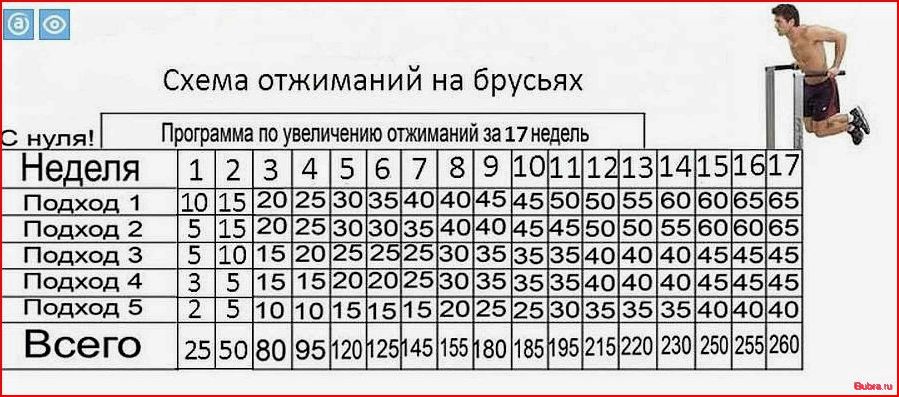 Как правильно отжиматься на брусьях: техника выполнения для разных целей