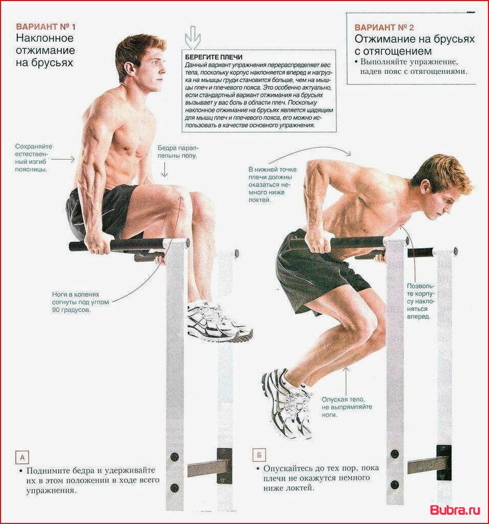 Как правильно отжиматься на брусьях: техника выполнения для разных целей