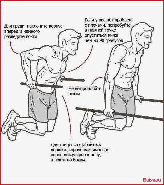 Как правильно отжиматься на брусьях: техника выполнения для разных целей