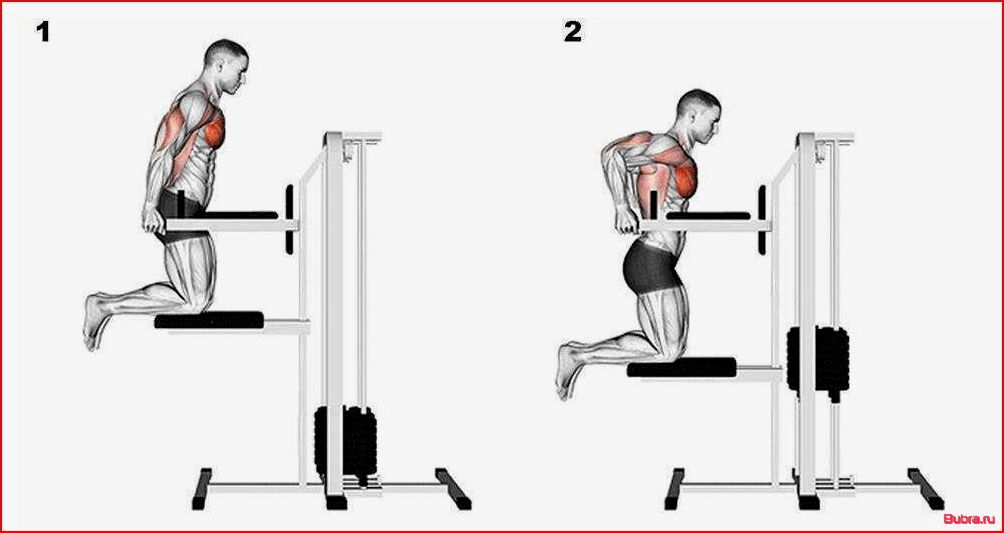 Как правильно отжиматься на брусьях: техника выполнения для разных целей