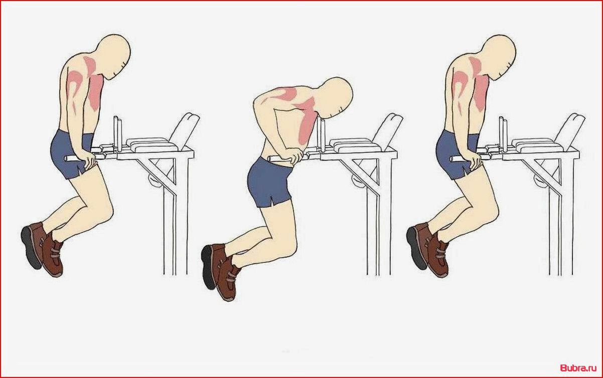 Как правильно отжиматься на брусьях: техника выполнения для разных целей