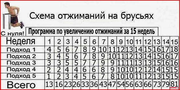 Как правильно отжиматься на брусьях: техника выполнения для разных целей