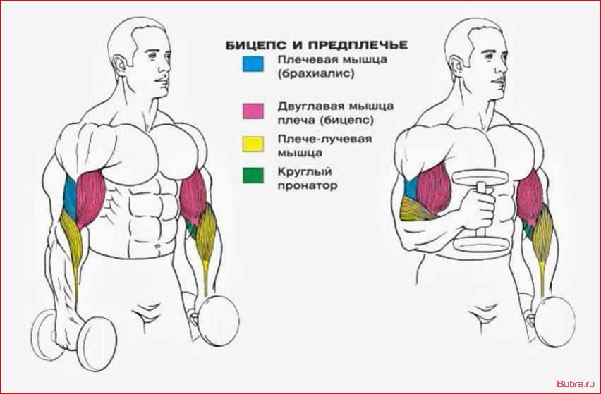 «Молотки» с дисками