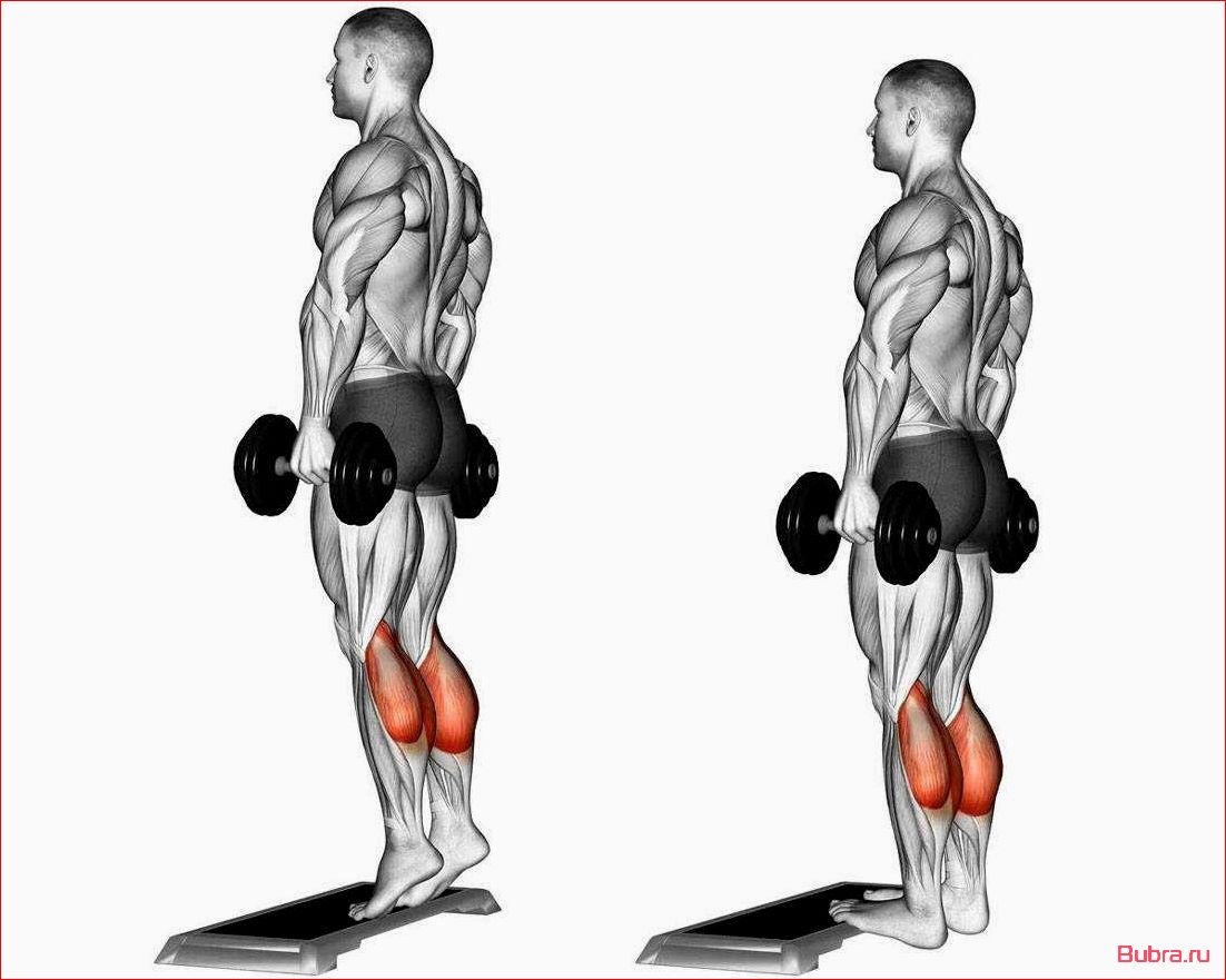 Подъем на носки стоя: техника выполнения и польза