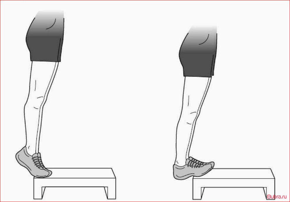 Подъем на носки стоя: техника выполнения и польза