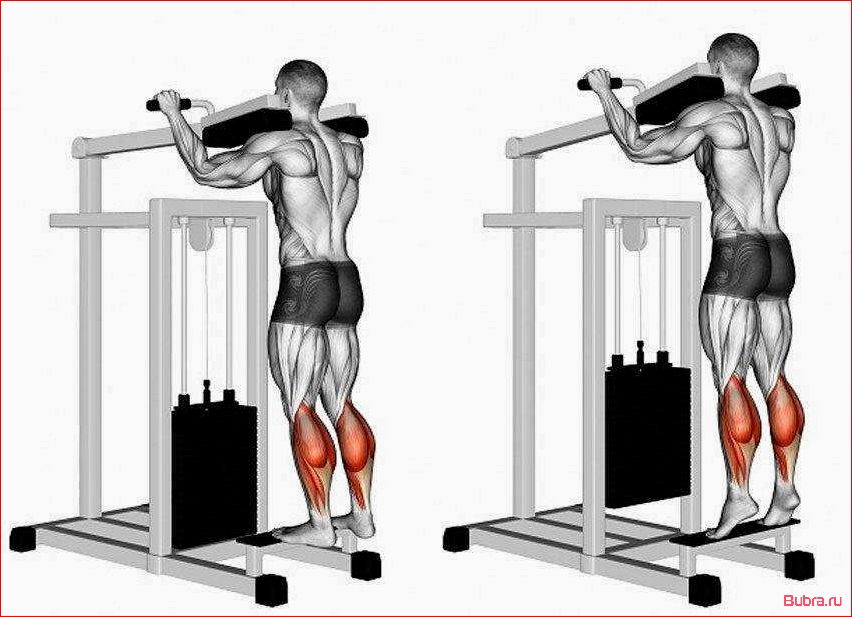 Подъем на носки стоя: техника выполнения и польза