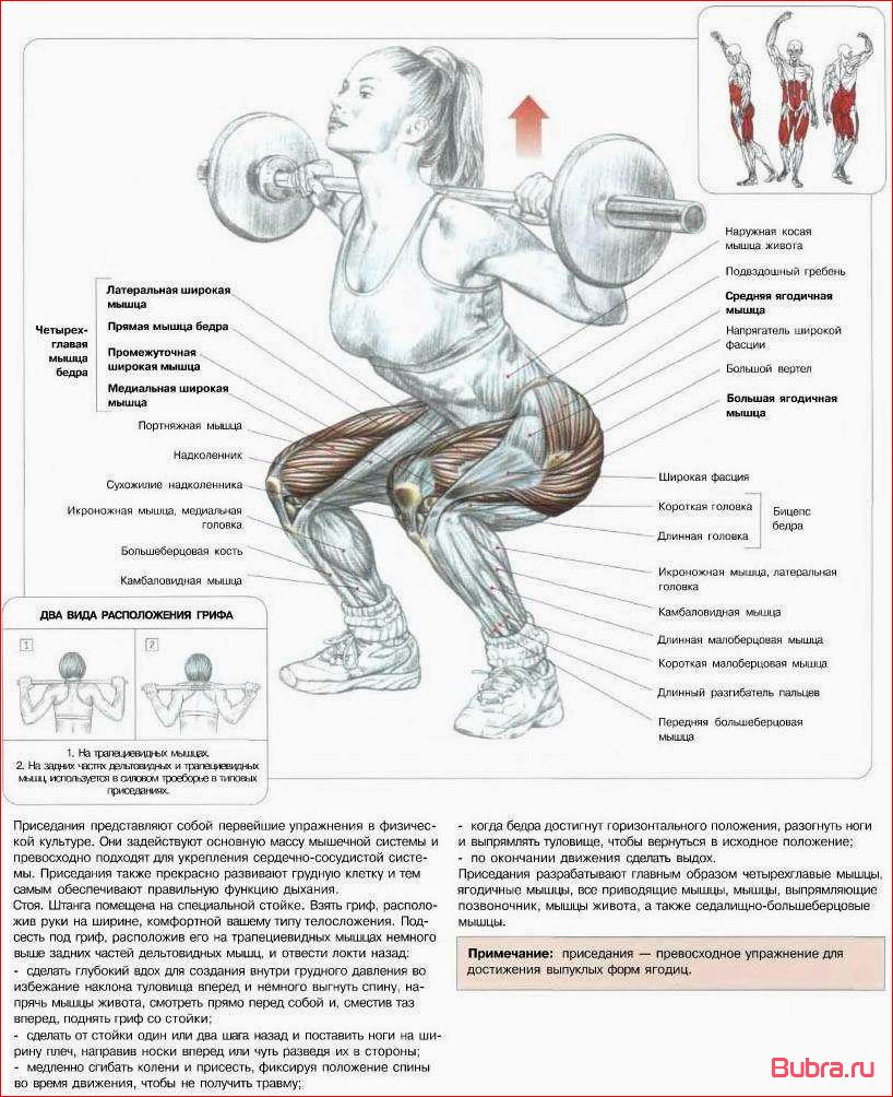 Приседания со штангой