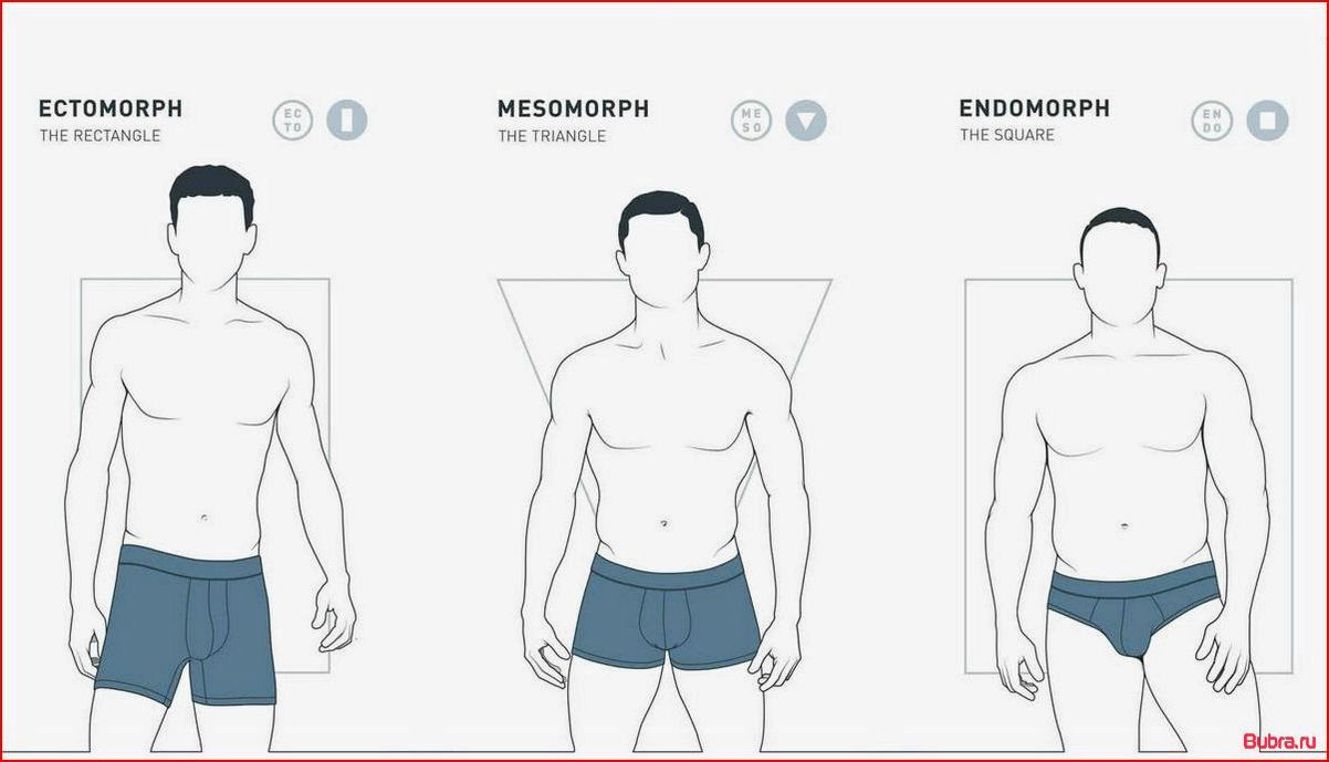 Кто такой эндоморф: основные характеристики типа телосложения