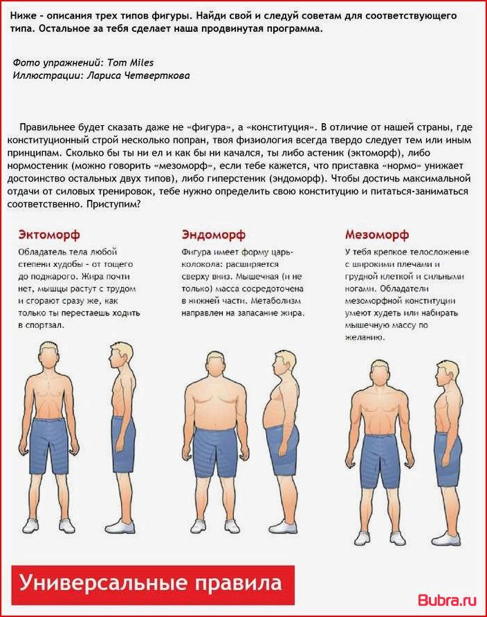 Кто такой эндоморф: основные характеристики типа телосложения