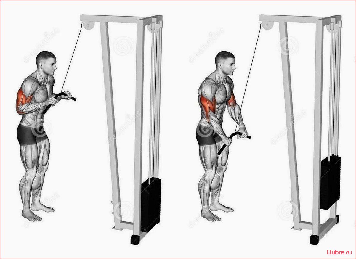 Отведение руки назад в блочном тренажере стоя