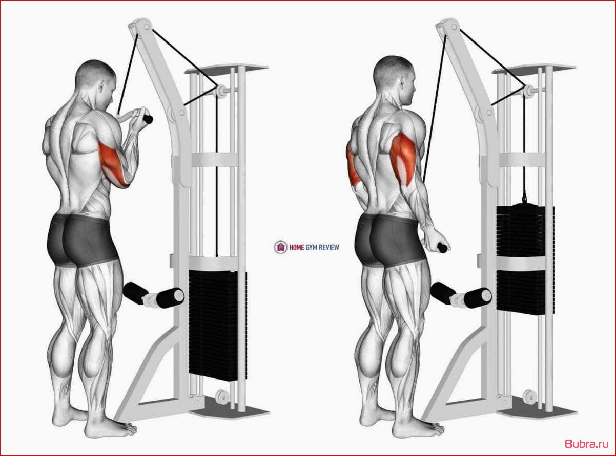 Разгибание рук в рычажном тренажере