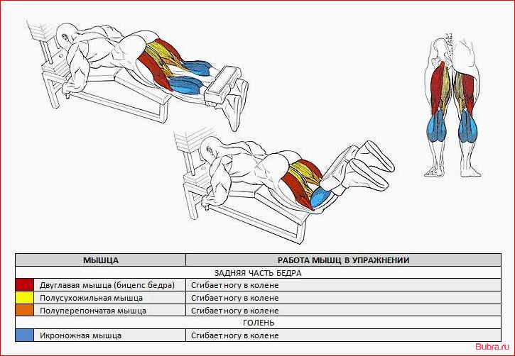 Сгибание ног в тренажере лежа