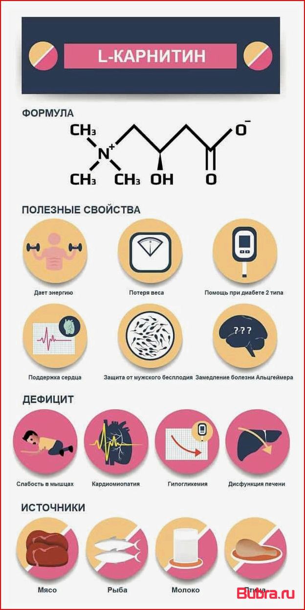 Подробно об Л-карнитине: правила приема и эффективность для похудения