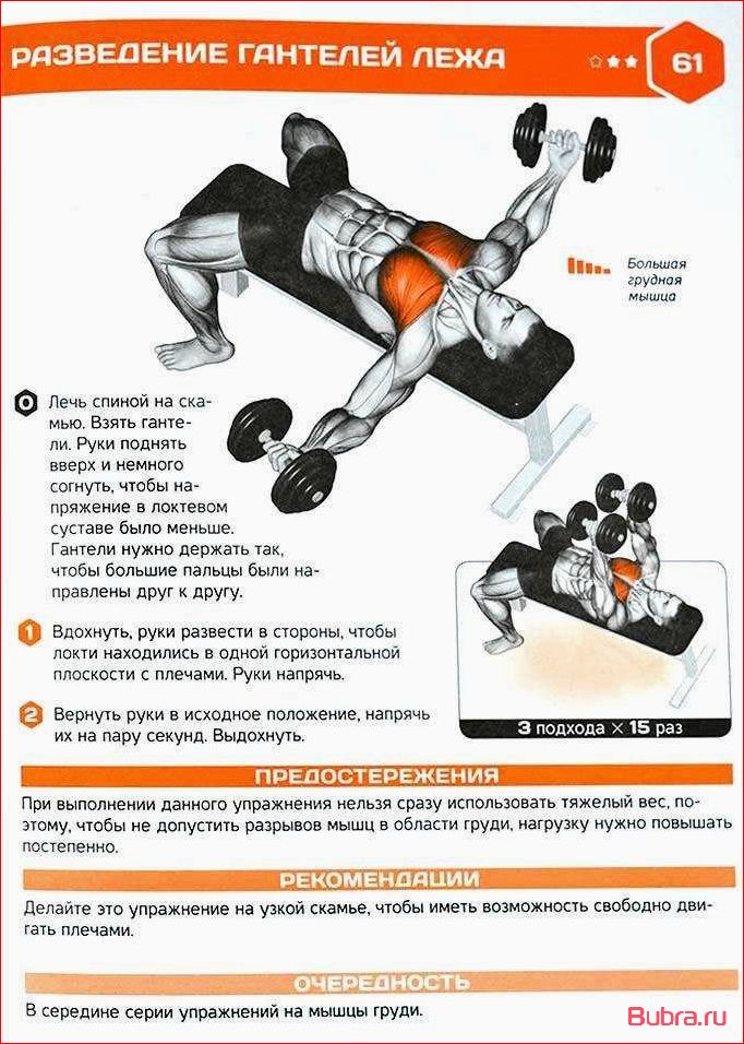 Обратные разведения лежа на горизонтальной скамье