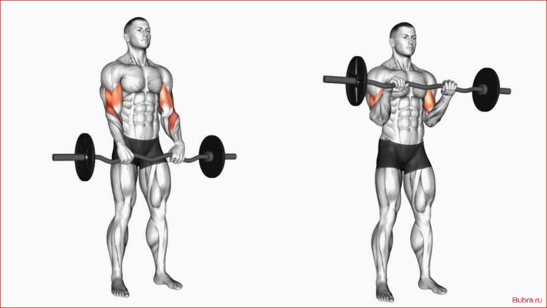 Перекрестные подъемы на бицепс