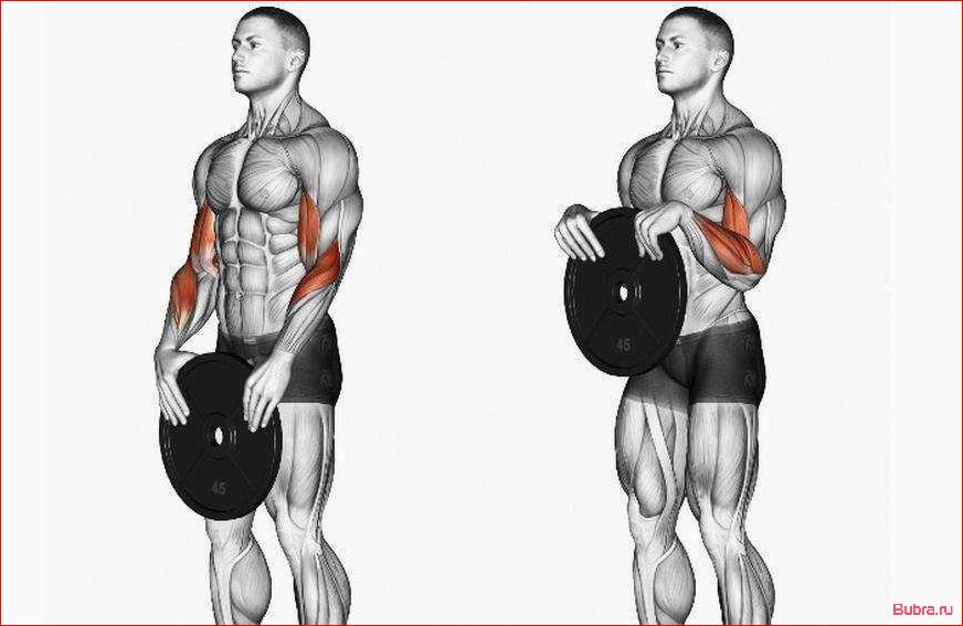 Перекрестные подъемы на бицепс