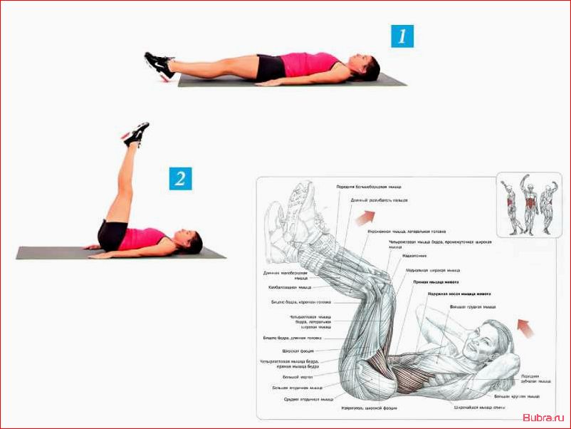 Подъем ног лежа: эффективная тренировка для пресса