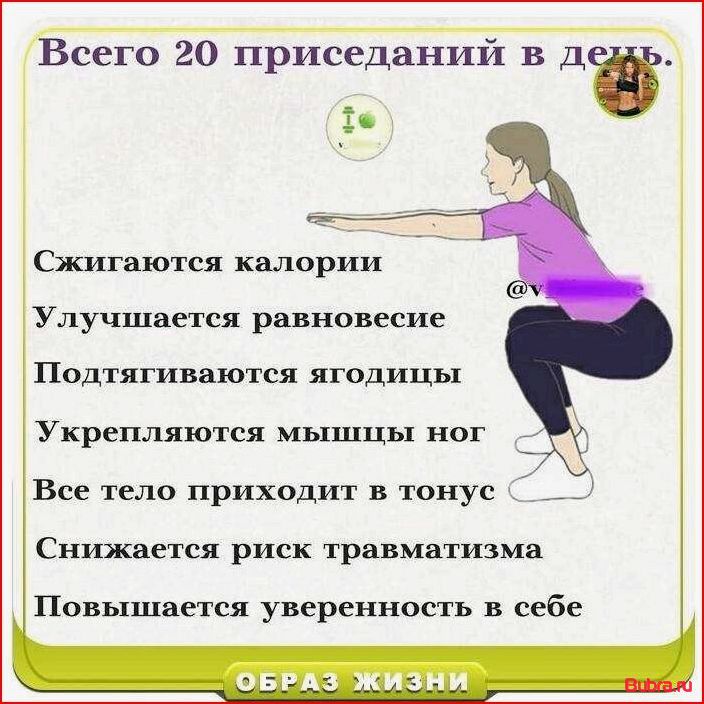 Приседания: польза упражнения, техника и главные разновидности